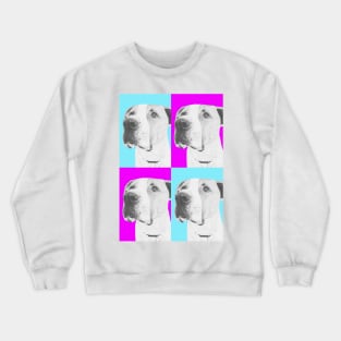 American Bulldog cross in Pink and Blue Crewneck Sweatshirt